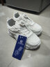 回力（Warrior）儿童运动鞋男女童鞋小白鞋百搭休闲鞋 WZ(CL)-032201 白色 33码 晒单实拍图