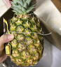 佳农 菲律宾进口菠萝 2个装 凤梨 单果净重2斤 生鲜水果源头直发 包邮 实拍图
