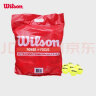 Wilson威尔胜无压力训练网球 袋装网球 练习网球 60个 WRT136000  实拍图