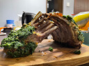 阿牧特 内蒙古法式羊排 生鲜羊肉羊肋排 冷鲜肉西餐法排 十二肋一扇1.1kg 晒单实拍图