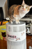 霍尼韦尔（honeywell）空气净化器 猫用净化器 猫猫搭子 卫健委备案 家用负离子吸浮毛 过滤过敏原净化器KJ360F-C22W 净化器 晒单实拍图