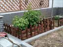 安瑾围栏栅栏草坪防护栏菜地篱笆地上户外隔离栏防腐木花园绿化小栏杆 50cm高1米长（颜色碳化色） 实拍图