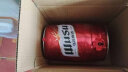 乌苏啤酒（wusu）大红乌苏烈性小麦啤酒 5L桶装(新老包装随机发货) 实拍图