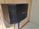 威斯汀（WESTDING）118家庭ktv音响套装点歌机一体KTV唱歌全套设备卡拉OK影院家用智能语音点唱音箱 V02:【五单元】进阶款-10吋三分频 实拍图