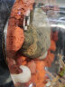 BESSN火山石鱼缸滤材细菌屋鱼缸鱼池过滤材料水族净水养鱼用品 红色火山石1-2CM【5斤装】+网兜 实拍图