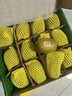 佳沛（zespri）新西兰 阳光金奇异果12粒礼盒特大果单果约122-146g 猕猴桃 水果 实拍图
