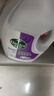 滴露（Dettol）衣物消毒液 薰衣草3L 99.9%杀菌除螨内衣儿童衣物除菌液配洗衣液 实拍图