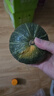 京鲜生山东贝贝南瓜 净重3斤 中果300+ 粉糯香甜新鲜蔬菜源头直发 实拍图