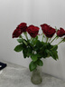 京东鲜花玫瑰花红色玫瑰10枝如意基地鲜切花水养插花生活花束送礼源头直发 实拍图