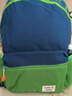 Edison爱迪生幼儿园书包学前班小学生儿童户外研学旅游出行小背包L02-2M 实拍图