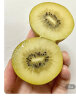 佳沛（zespri）新西兰阳光金奇异果12粒礼盒特大果单果约124-146g水果猕猴桃 实拍图