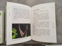 掌中花园——无穷小亮的栽培心得与技巧 实拍图