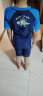 特步（XTEP）儿童泳衣男童连体小中大儿童速干防晒温泉游泳衣 藏青色 16# 实拍图