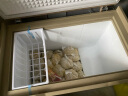 志高（CHIGO）小冰柜家用冷冻小型一级节能省电迷你卧式冷藏保鲜储母乳冷柜 微霜制冷-205L金-单温单门 实拍图