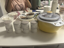 小熊（Bear） 酸奶机 家用全自动米酒机不锈钢内胆酸奶发酵 陶瓷4分杯 SNJ-B10K1 实拍图