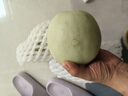 新鲜头茬香甜冰激淋玉菇甜瓜当季新鲜水果 美味可口3-4斤（1-2粒） 实拍图