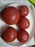 【超市精选】山东沙瓤水果西红柿新鲜番茄蔬菜减肥单果100g起 西红柿中大果 1斤 净重 实拍图