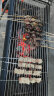龙大肉食 猪五花肉块2kg 冷冻带皮五花肉猪五花烤肉 出口日本级 实拍图