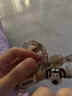 极森家发夹后脑勺高级感可爱狗狗挂件发饰百搭鲨鱼夹抓夹头饰女 水心汪【大号13CM】 晒单实拍图