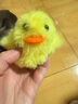 华元宠具（hoopet）猫玩具自动逗猫球自嗨解闷小猫电动发声智能玩具球冲鸭猫咪鸭子 冲鸭（颂小包猫薄荷） 实拍图