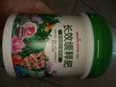绿盼 长效缓释肥料颗粒500g氮磷钾三元通用型多肉花卉盆栽绿植兰花 实拍图