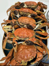 【活蟹】湖鲜阳澄大闸蟹公3.5-3.8两 母2.5-2.8两4对8只鲜活超大螃蟹礼盒装源头直发 实拍图