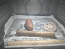 格兰仕蒸烤箱 26L家用多功能不锈钢内胆烘焙烧烤蒸箱烤箱二合一 台式蒸烤一体机D22 实拍图