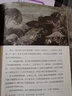 成长的烦恼 六年级上册 人教版语文素养读本 小升初阅读拓展 温儒敏编 北大语文教育研究所 小学11 群文阅读 实拍图