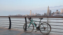美利達（MERIDA）SHADOW幻影6 20速 公路自行车  预售  5月30日前发货 青萝绿/知否绿 700*50CM(建议身高170-180CM) 晒单实拍图