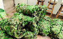 婉和 迷彩网 防航拍网伪装网户外丛林迷彩网布防晒网遮阳网军绿色遮阴网遮光网绿化防尘网 2米宽3米长 实拍图