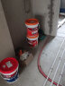 立邦防水涂料 卫生间厨房通用 柔韧型刚性防水浆料墙面地面 三合一灰色防水附滚刷 18kg 晒单实拍图