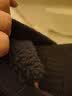 马登工装美式休闲Easypants加绒束脚卫裤运动保暖直筒休闲长裤子男冬 深蓝色 【加绒男裤/厚裤子/防风保暖裤】 XL 实拍图