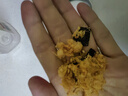 味斯美海苔酥脆松520g小贝肉松面包蛋糕寿司三明治家庭烘焙肉粉松 原味酥脆松520g 实拍图