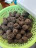 京地达云南高黎贡山新鲜黑松露菌3-4cm净重500克煲汤刺身源头直发包邮 实拍图