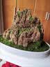宜品达苔藓微景观青苔植物鲜活白发藓创意小盆栽雨林缸diy盆景假山装饰 风干（双层）一盒 实拍图