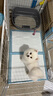 华美龙宠物狗围栏室内狗笼子小型犬中型犬比熊柯基狗窝兔子门栏隔离护栏 白色（含睡垫等6件套） 【长120宽60高60 6片】适20斤内 实拍图