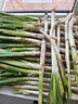 水果蔬菜 新鲜大葱 农家自产 新鲜蔬菜 5斤带皮大葱【净重5斤】 25000g 实拍图