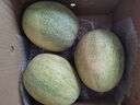 盈余 新疆吐鲁番哈密瓜 火焰山蜜瓜 西洲网纹瓜生鲜水果 2-4个【净重10-12斤】 实拍图