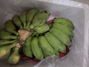 广西小米蕉小香蕉自然熟迷你香蕉苹果蕉小芭蕉新鲜水果特产鸡蕉 小米蕉 3斤 泡沫箱打包 实拍图
