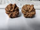 山中玉文玩核桃狮子头闷尖手把件古玩麻核桃秋子核头爸妈新年送礼物原色 【精配】进阶级38-39mm平果园1对 实拍图