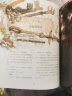 哈利波特绘本全套5册  哈利波特与魔法石全彩绘本 [7-10岁]+哈利波特与密室+哈利波特与阿兹卡班囚徒+哈利·波特与火焰杯+哈利波特与凤凰社全彩绘本平装版 J 晒单实拍图