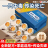 创惠仁日本品牌灭蚂蚁药一窝端杀蚂蚁特效药家用室内外通用杀虫耳剂孕婴 3盒装/24枚 晒单实拍图