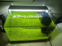 迪普尔鱼缸水草泥和水草种子2.5kg水藻泥底沙鱼底砂装饰造景套餐水族箱 晒单实拍图