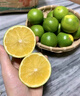 京鲜生 云南哀牢山冰糖橙/橙子 净重5斤 单果170-260g 生鲜水果礼盒 实拍图