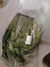 【山野寻鲜】芝麻菜150g 实拍图