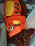 憨憨宠 狗狗衣服 猫衣服宠物衣服变身装猫咪衣服中小型犬幼犬秋冬服装 小老虎款 XL号建议体重10-18斤 实拍图