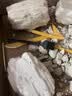 帕卡洛恐龙化石考古挖掘玩具二年级科学石膏骨架模型套装3-6岁8生日礼物 恐龙套餐A【霸王龙+棘龙+雷龙+三角龙】 实拍图
