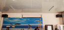 山水（SANSUI）FK-101 家庭K歌 10寸12寸 10喇叭 KTV音响套装 家用会议卡包唱歌音响电视卡拉OK音箱效果器点歌机 四只FK121（12吋音箱+功放+话筒+3T点歌机 晒单实拍图