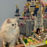 迪士尼迪士尼城堡兼容乐高积木樱花束公主拼装玩具高难度女生生日礼物 76cm樱花迪士尼城堡+满配12礼品 晒单实拍图