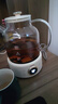 OIDIRE（偶点）全玻璃养生壶 花茶壶无胶水煮茶壶 煮茶器办公室恒温养生壶烧水壶电热水壶炖煮智能保温 1L ODI-HC01花茶养生壶【不带滤网】 实拍图